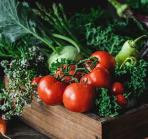 test-vegetariano