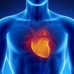 test-cardiogen---riesgo-cardiovascular-por-saliva