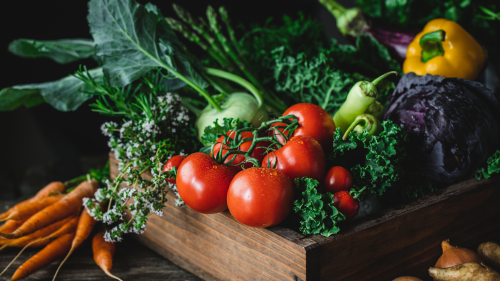 test-vegetariano