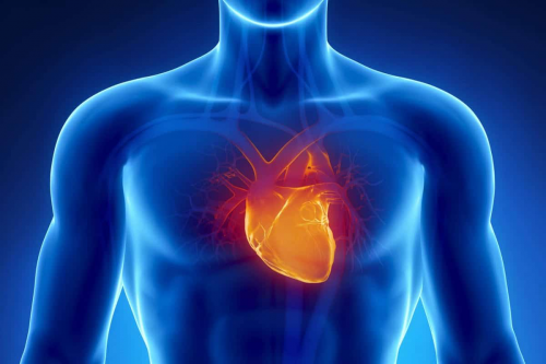 test-cardiogen---riesgo-cardiovascular-por-saliva