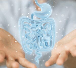 test-microbioma-intestinal