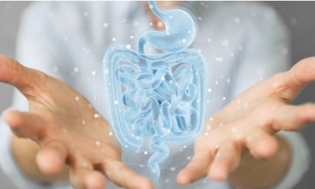 test-microbioma-intestinal