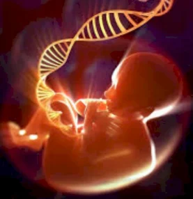 preconception-unviersal-g06060