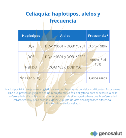 ESTUDIO GENÉTICO CELIAQUÍA HLA DQ2/ DQ8