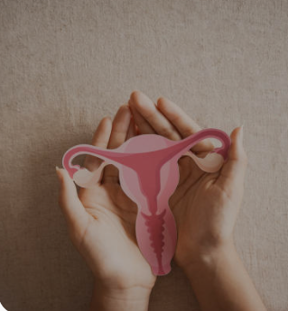 Perfil Hormonal Avanzado MUJER