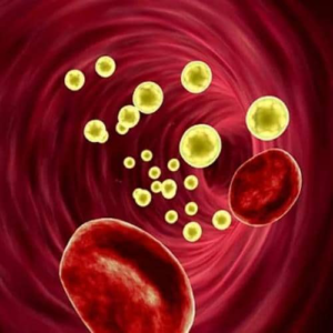 test-acidos-grasos-en-eritrocitos-grasas-alimentarias-ager