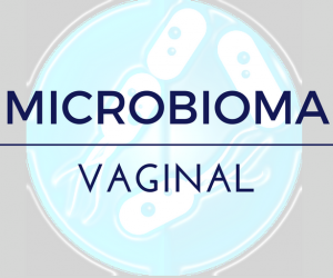 test-microbioma-vajinal-por-ssecuenciacion-metagenomica-shot-gun