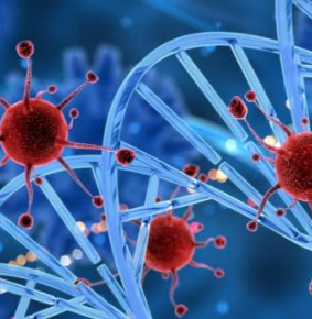 test-brca16-genes