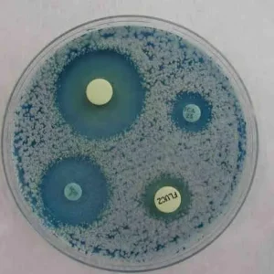 fungigrama